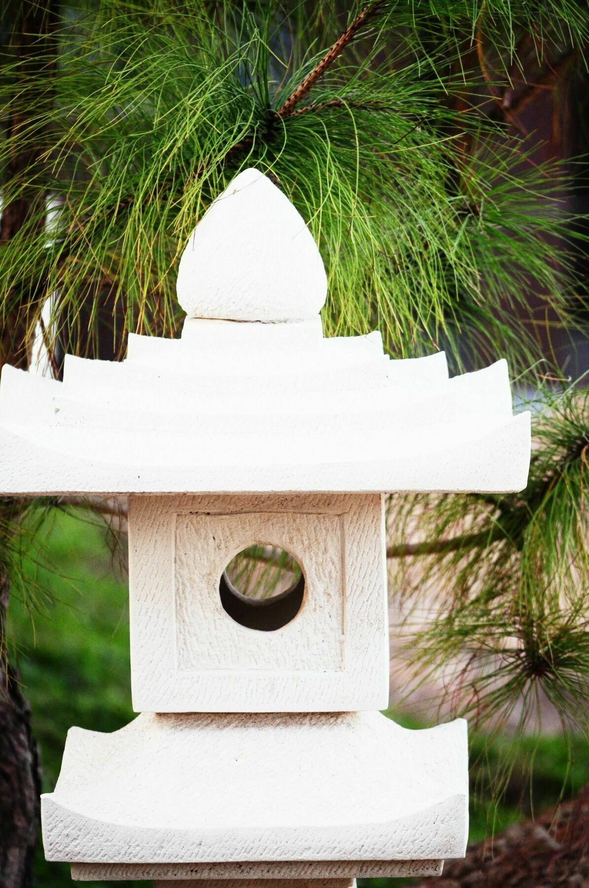 Zen Home Resort & Garden @ Пхаяу Экстерьер фото